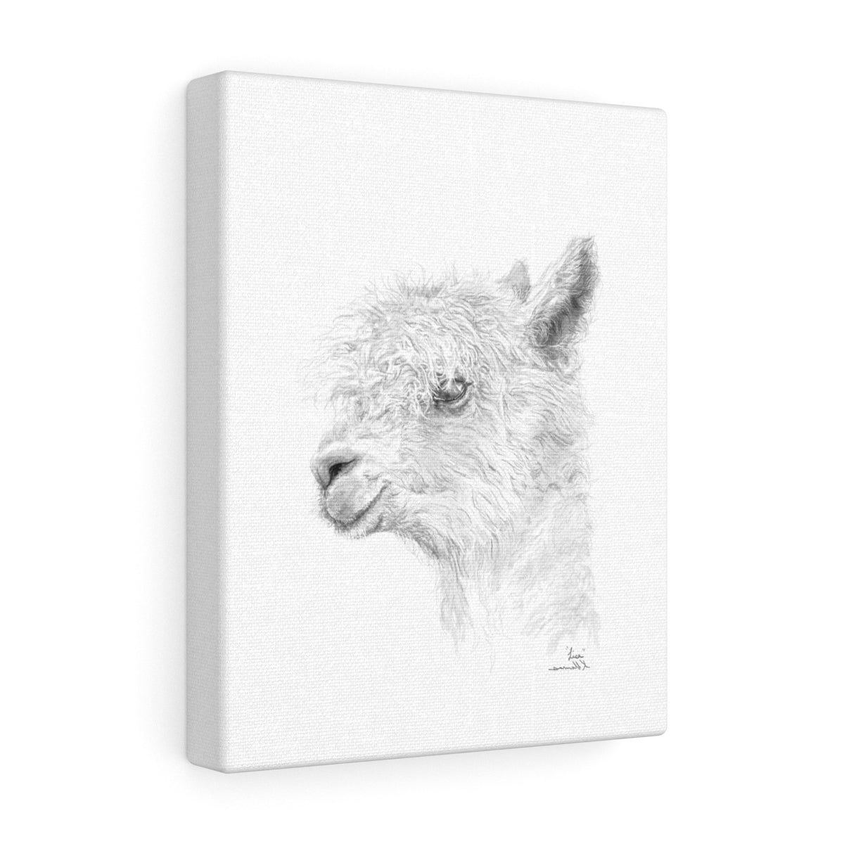 LISA Llama - Art Canvas