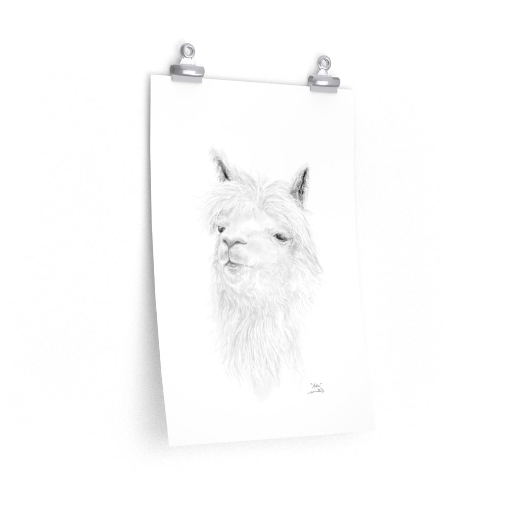ASHA Llama- Art Paper Print