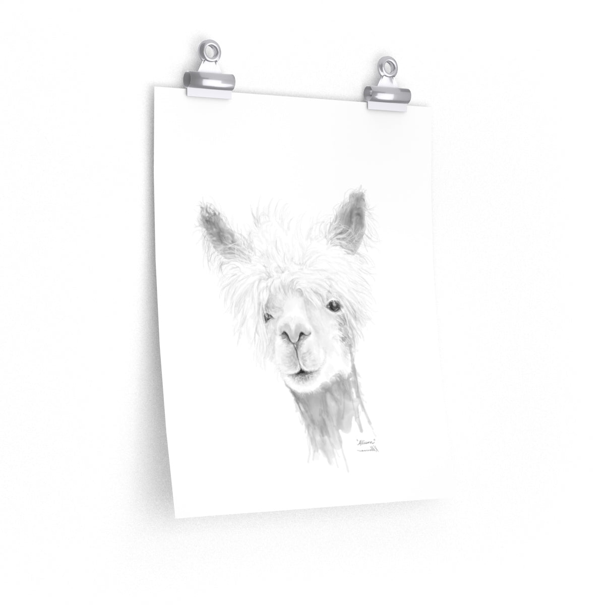 ALLISON Llama- Art Paper Print