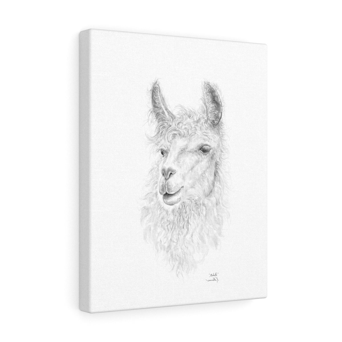 Michelle Llama - Art Canvas