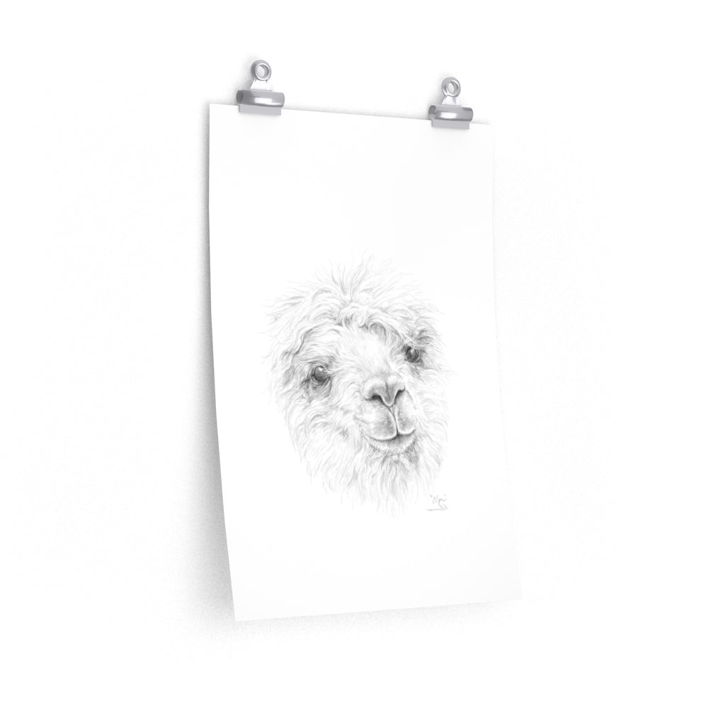 OLGA Llama- Art Paper Print
