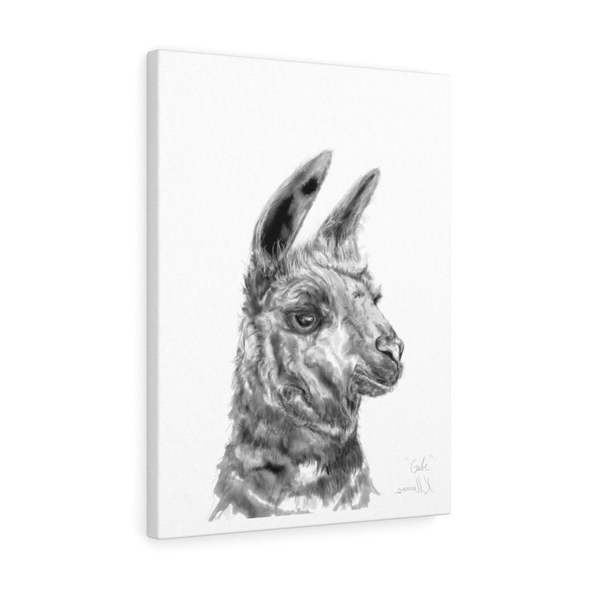 GABE Llama - Art Canvas