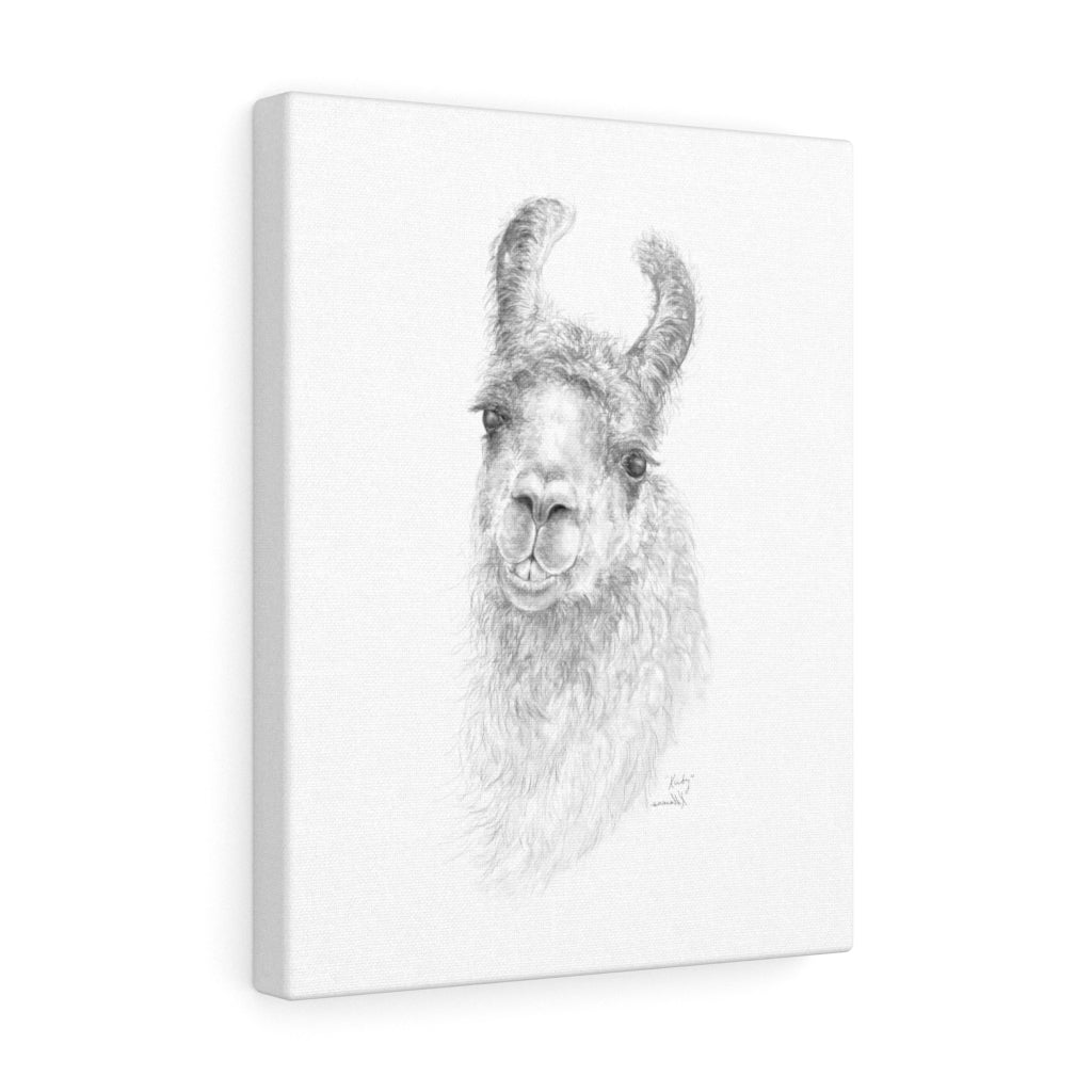 KIRBY Llama - Art Canvas