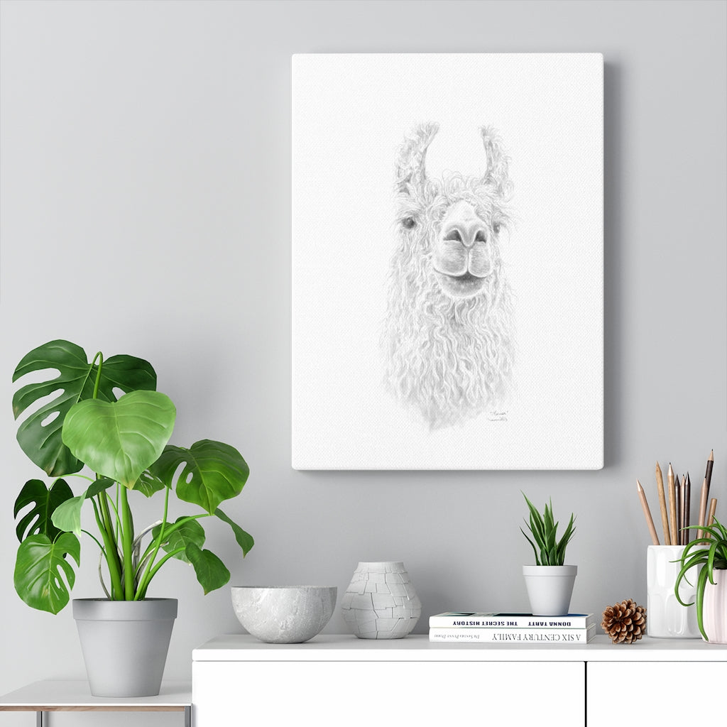 MARISA Llama - Art Canvas