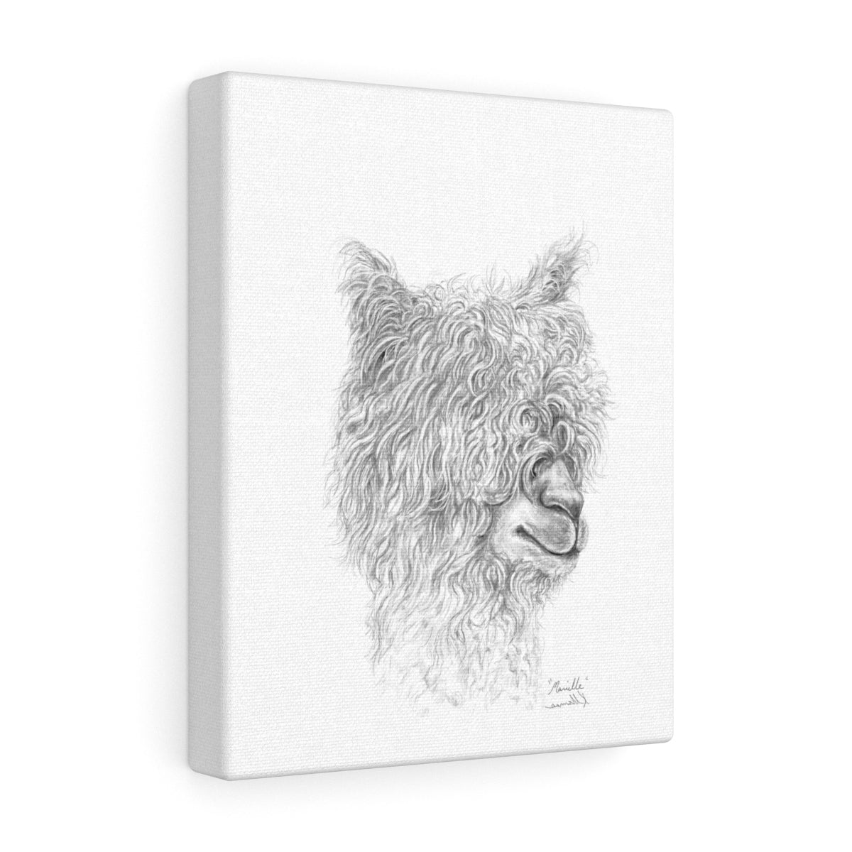 MARIELLE Llama - Art Canvas