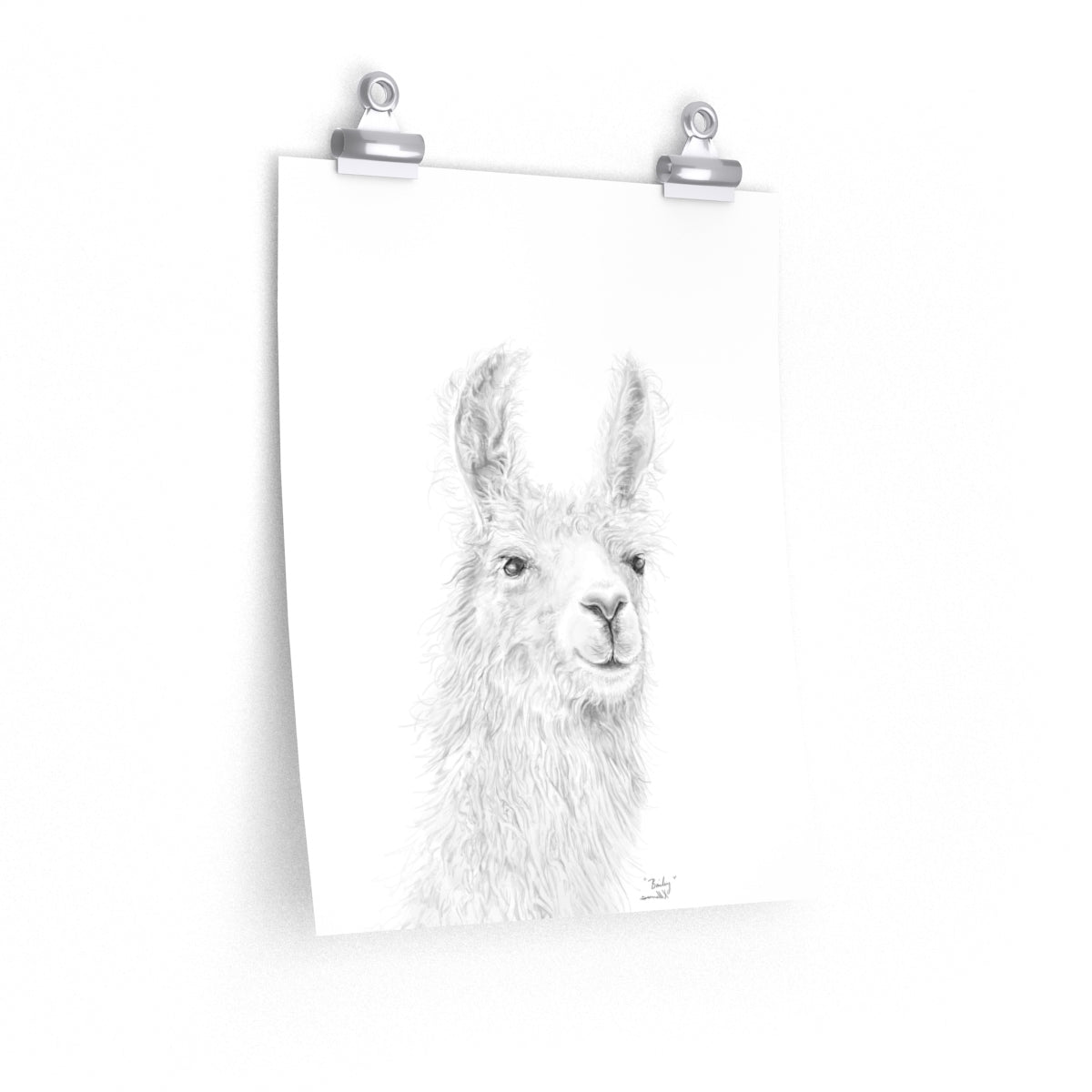 BAILEY Llama- Art Paper Print