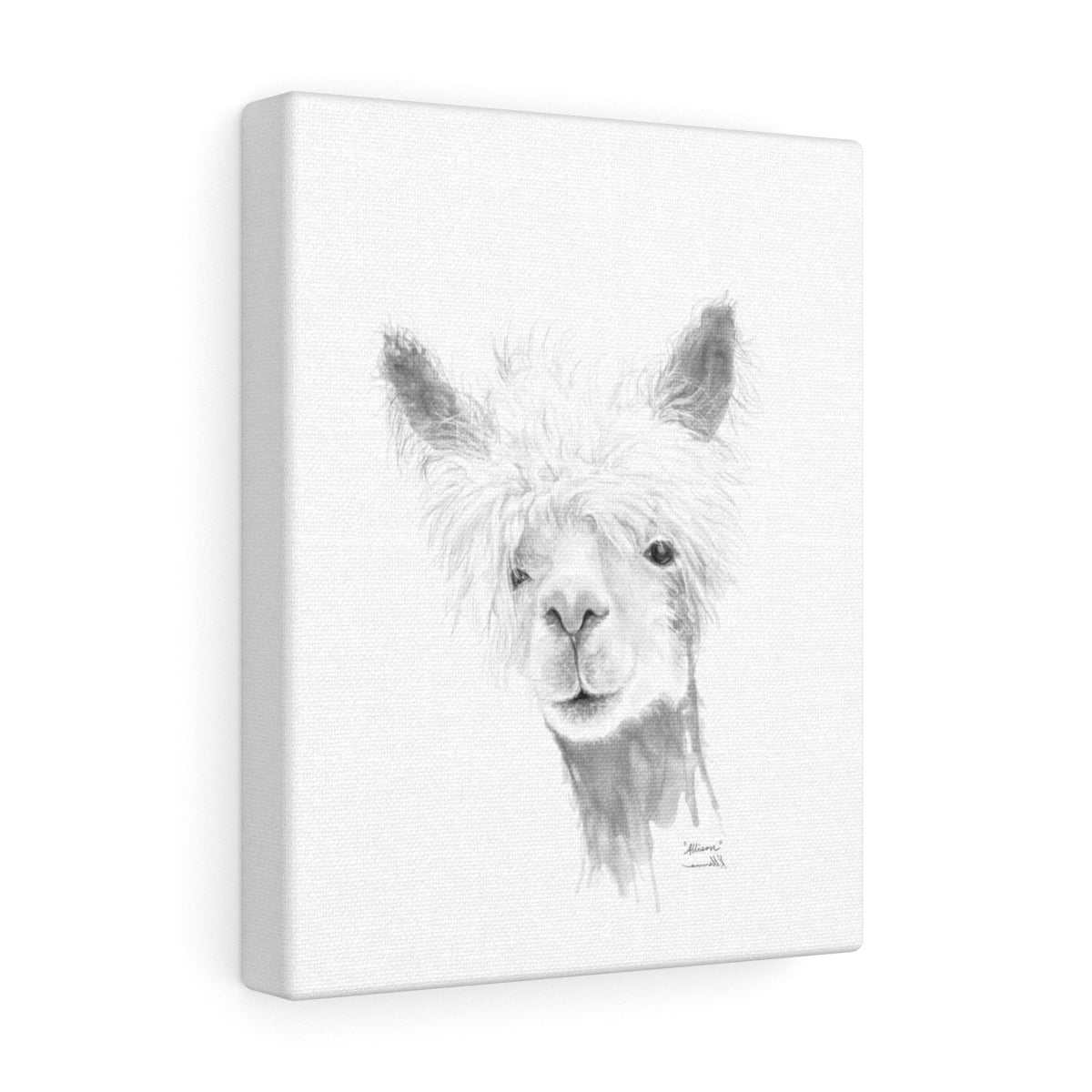 ALLISON Llama - Art Canvas