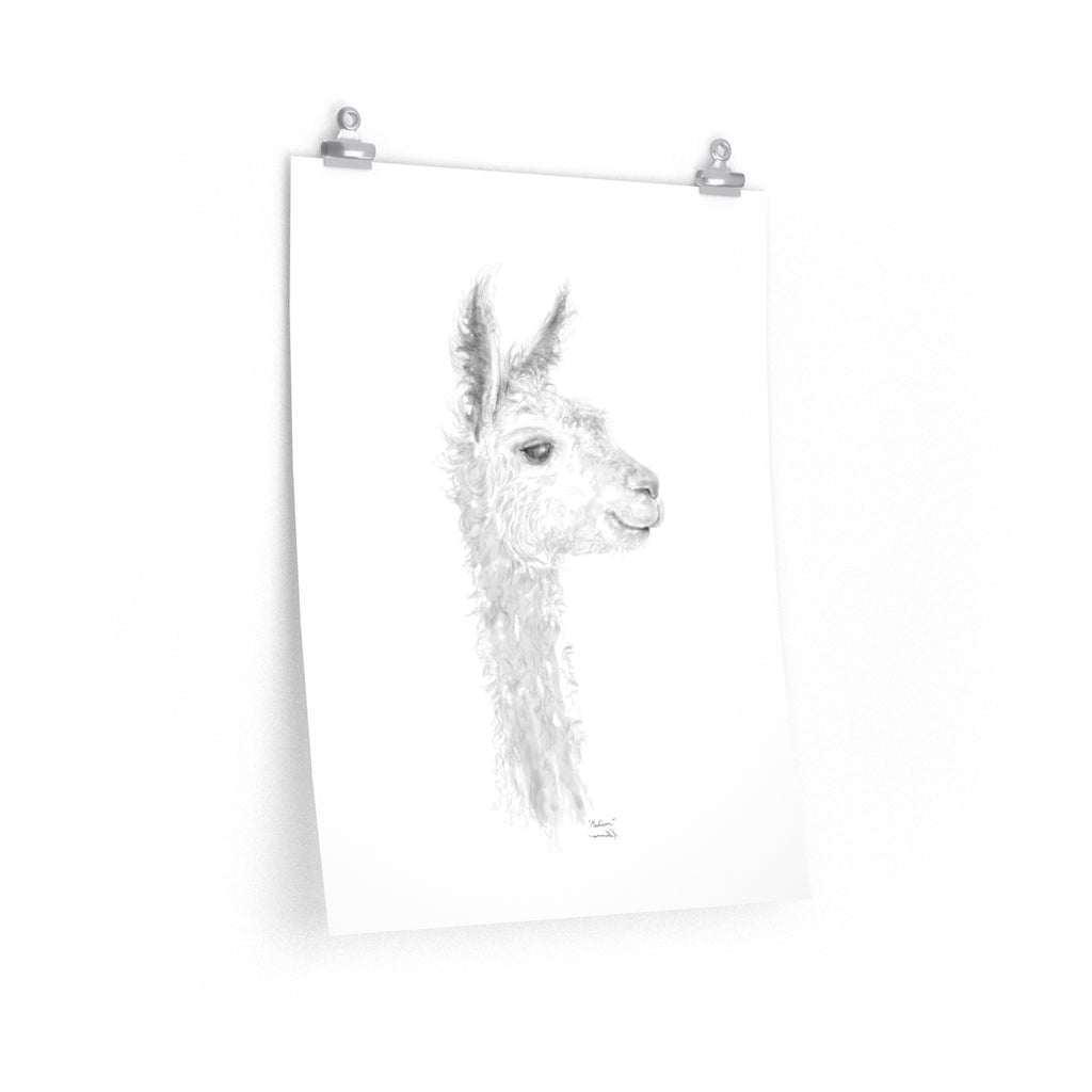 MADISON Llama- Art Paper Print