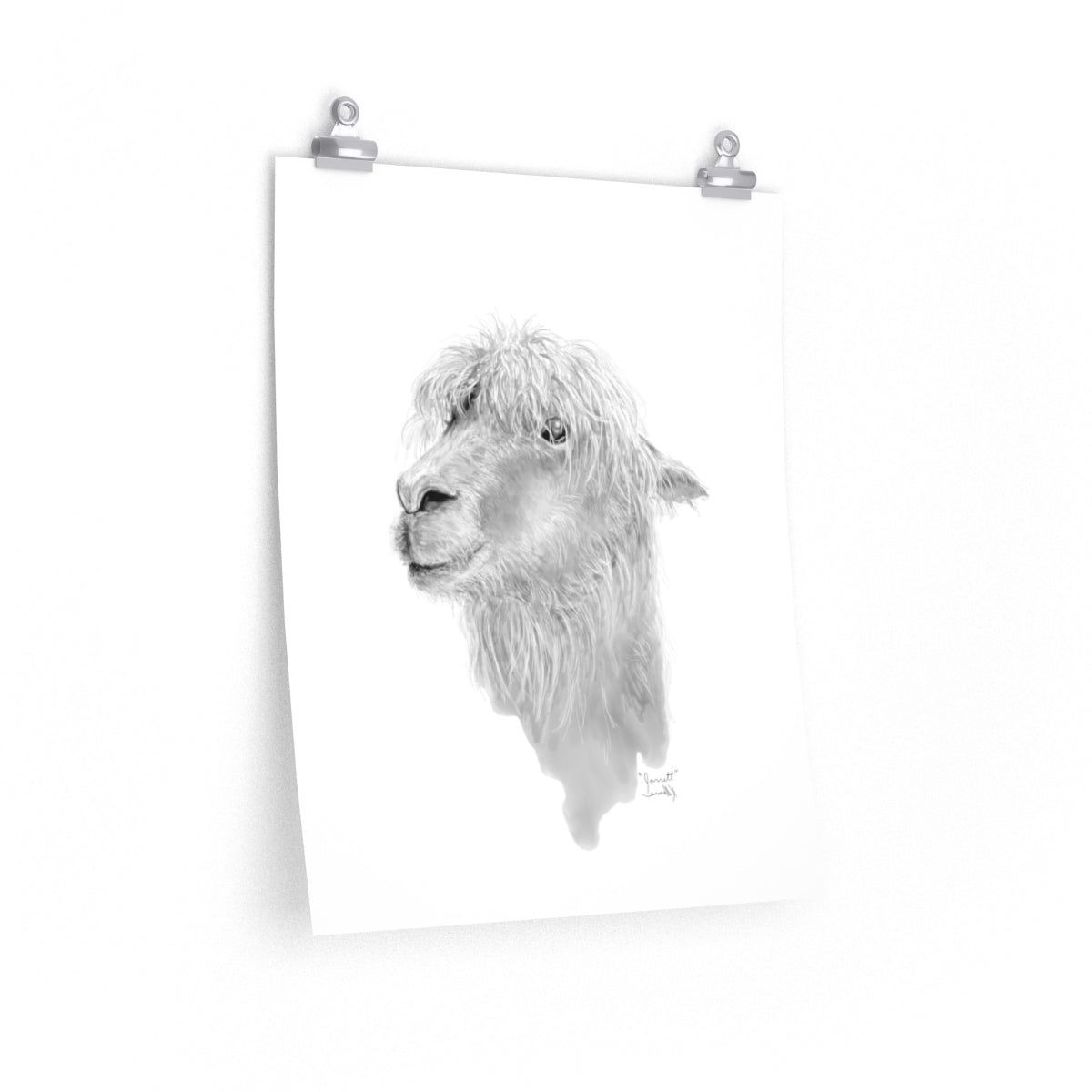 JARRETT Llama- Art Paper Print