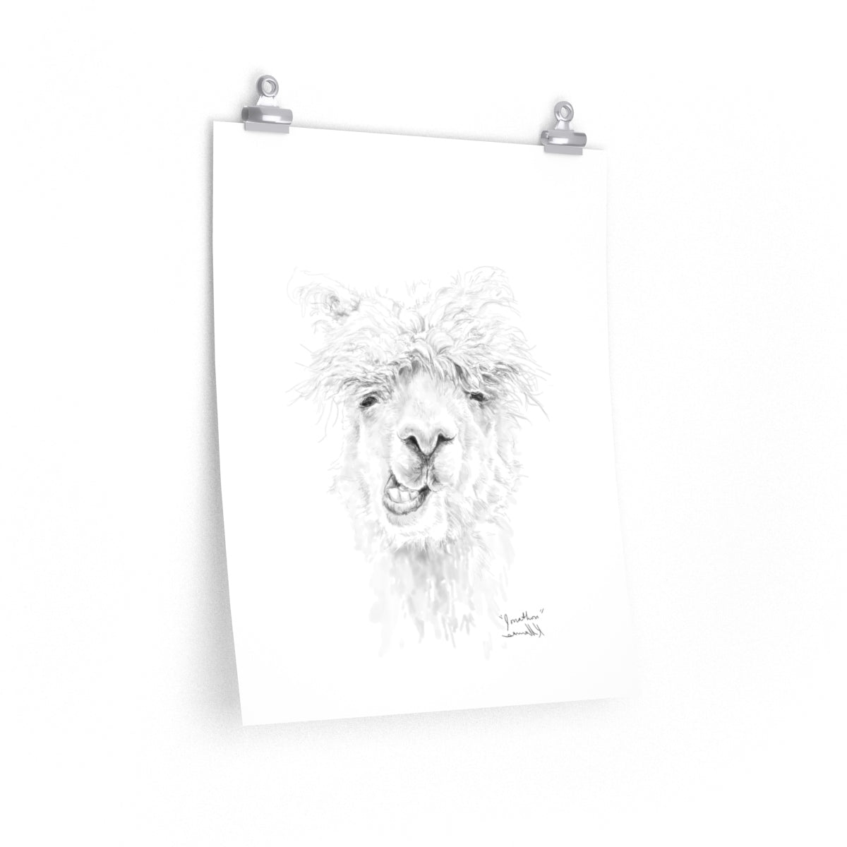 JONATHON Llama- Art Paper Print