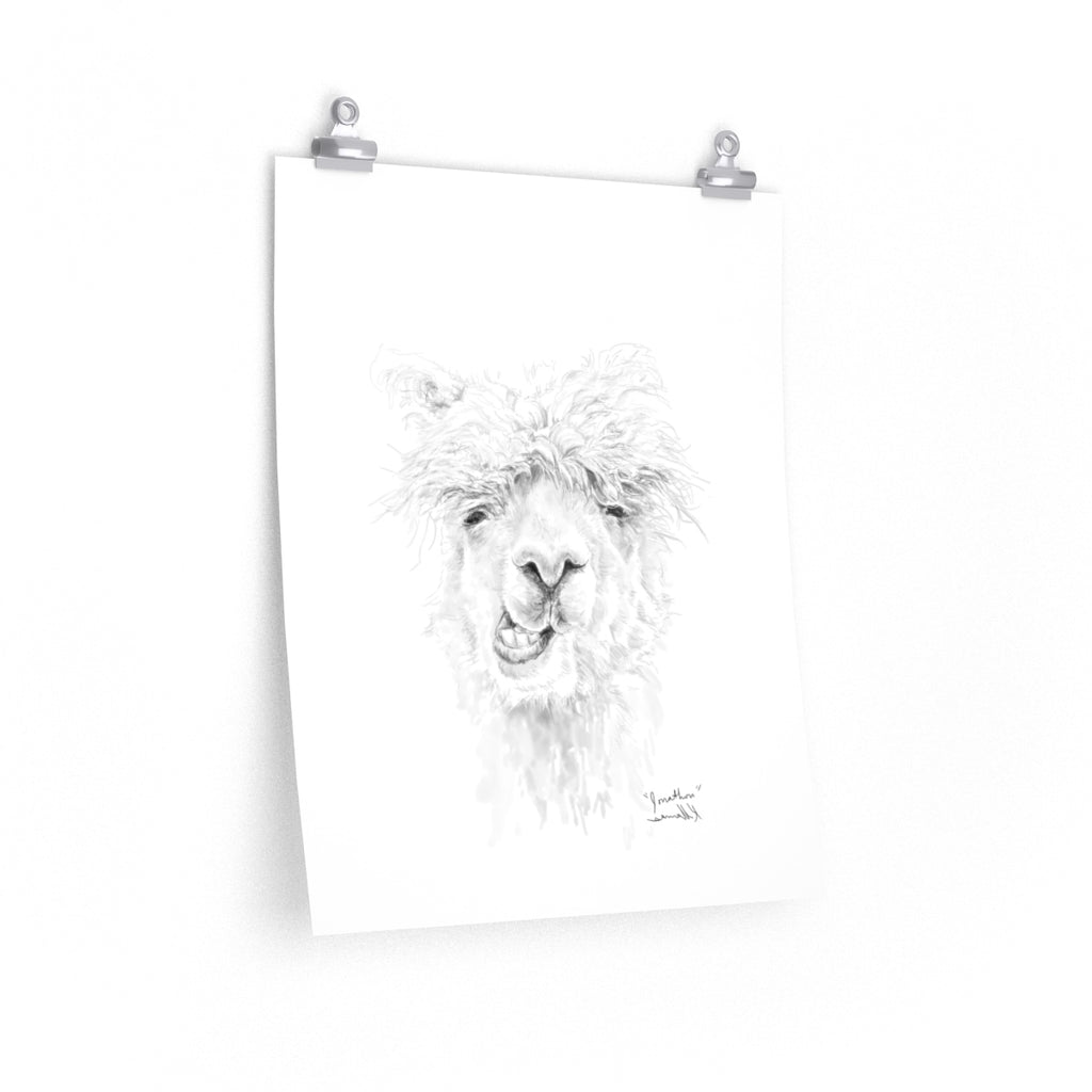 JONATHON Llama- Art Paper Print