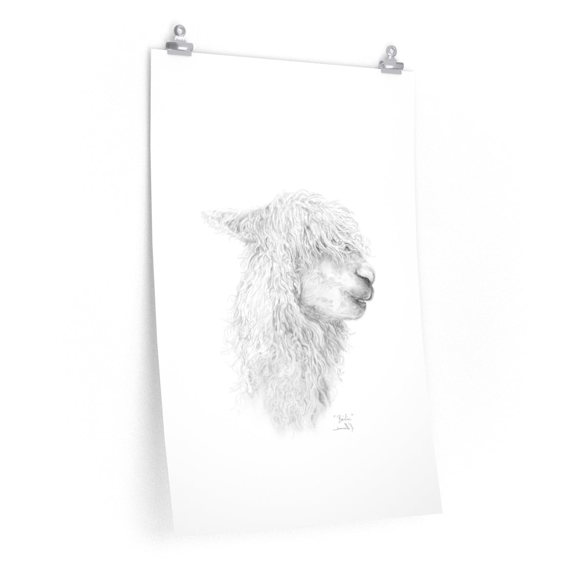 BAILIE Llama- Art Paper Print
