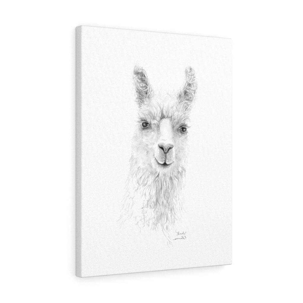 NICOLE Llama - Art Canvas