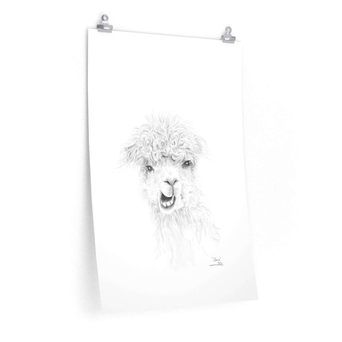 CLAIRE Llama- Art Paper Print
