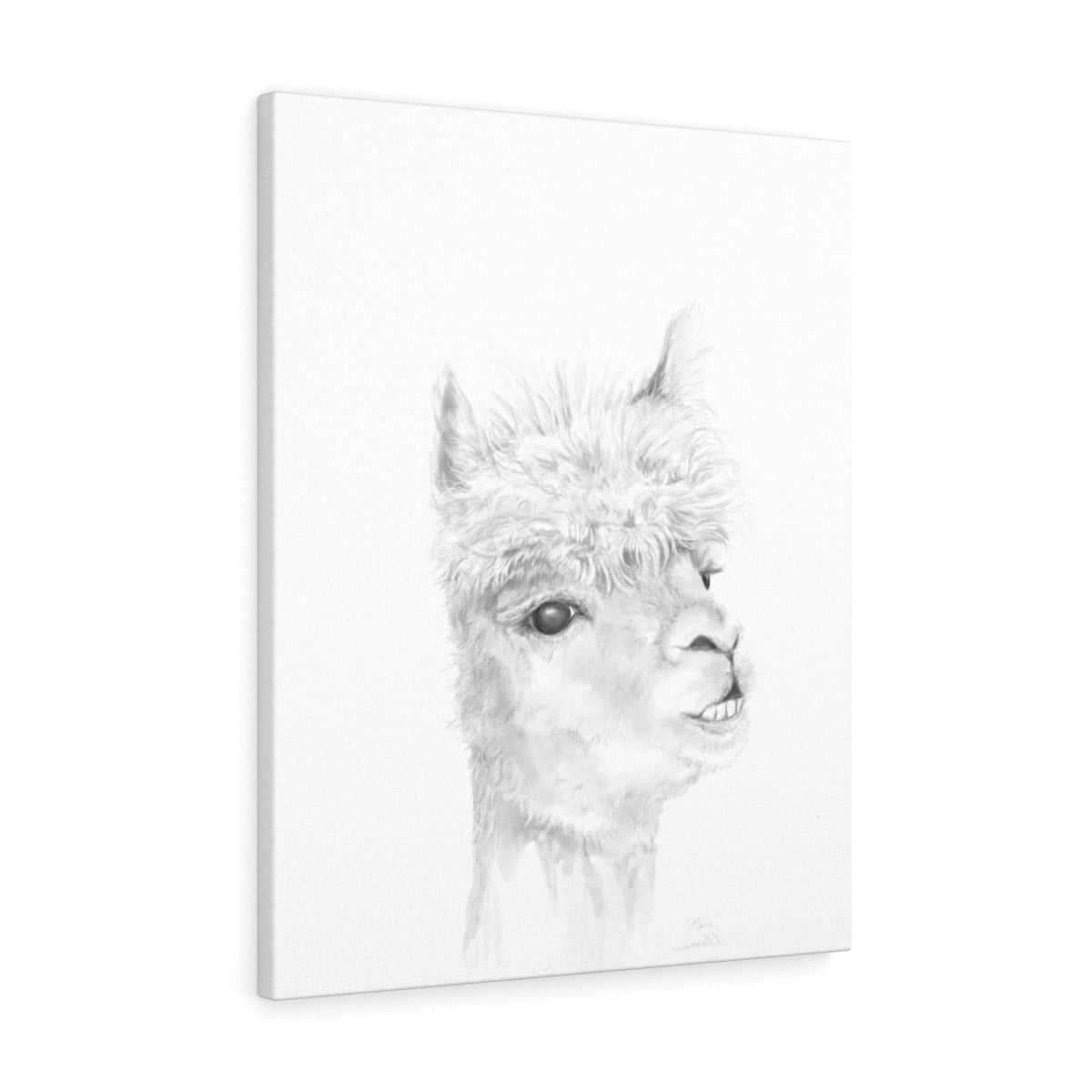 MARC Llama - Art Canvas