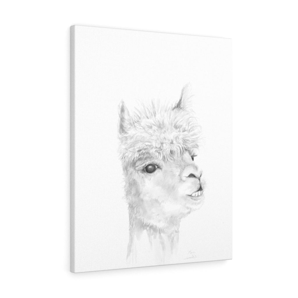 MARC Llama - Art Canvas