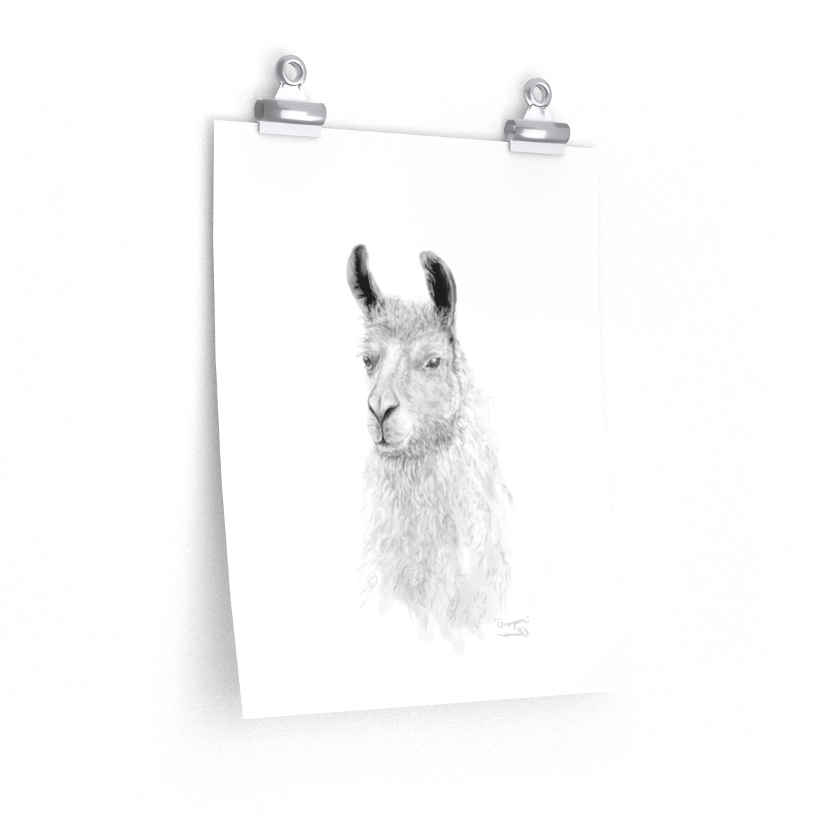 GRAYSON Llama- Art Paper Print