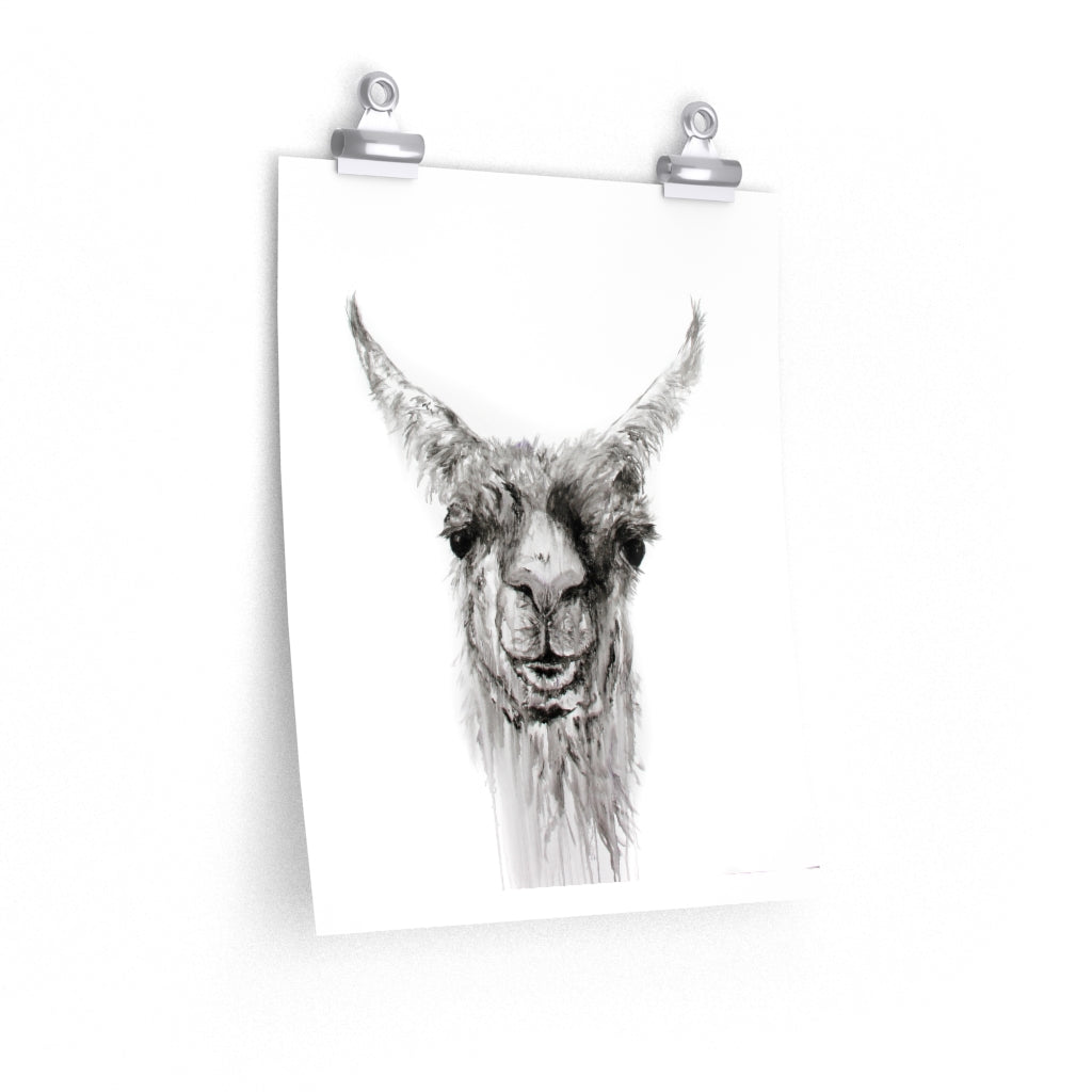 NEMORIO Llama- Art Paper Print