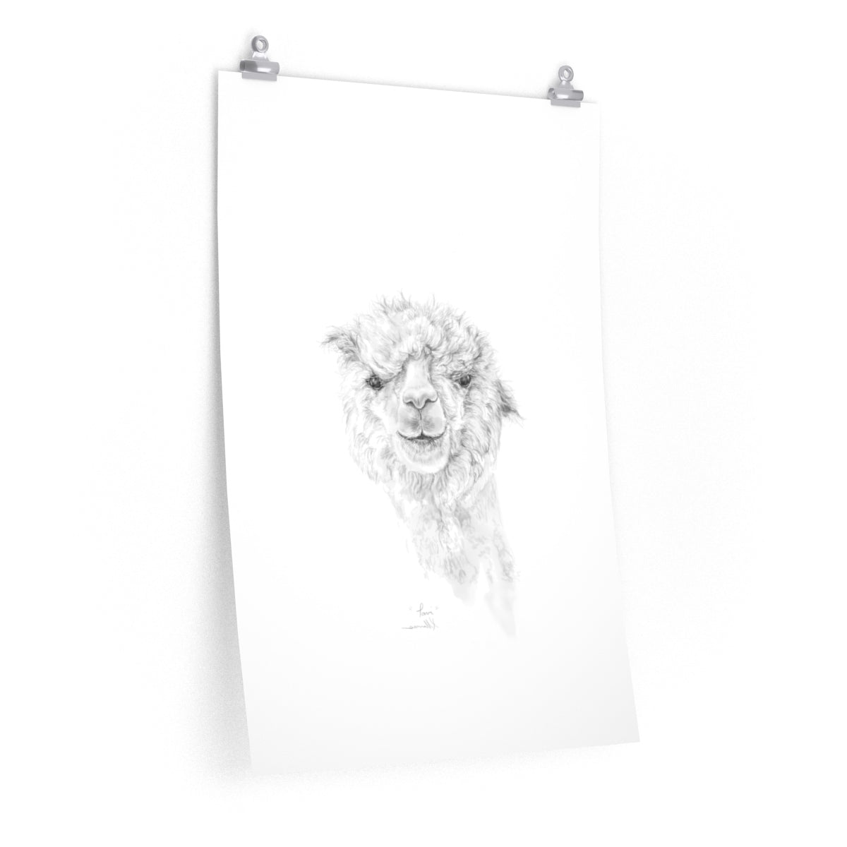 TAVI Llama- Art Paper Print