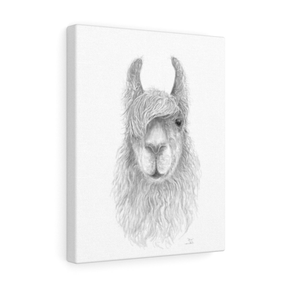 CHRIS Llama - Art Canvas
