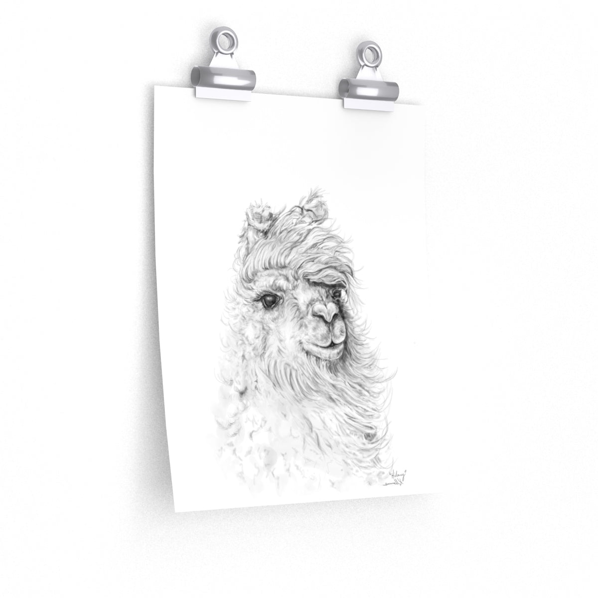 HILARY Llama- Art Paper Print