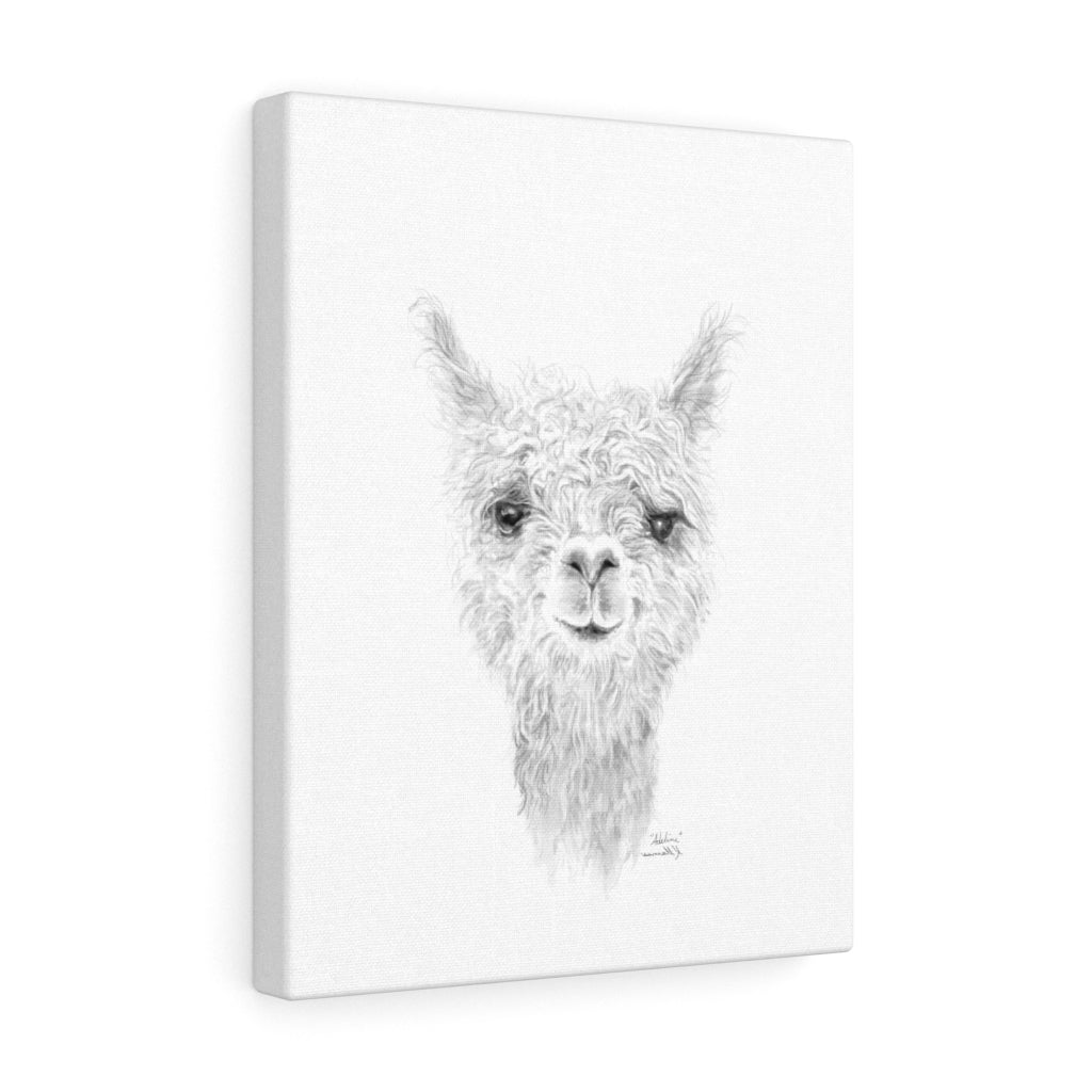 ADELINE Llama - Art Canvas