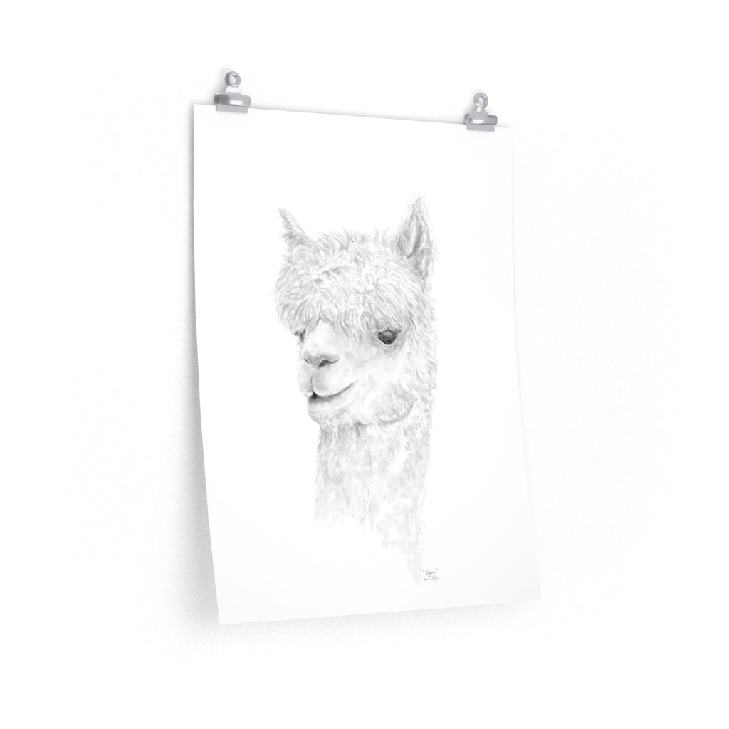 DYLAN Llama- Art Paper Print