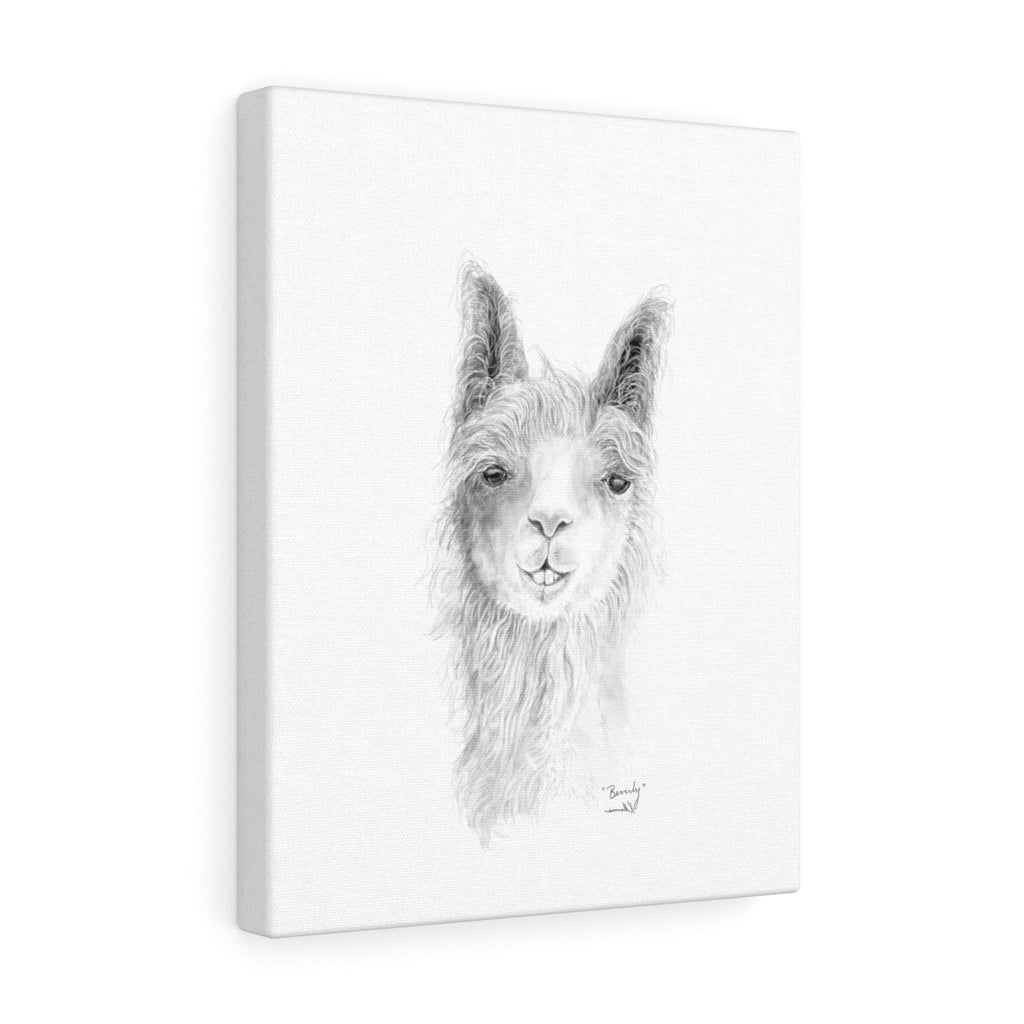 BEVERLY Llama - Art  Canvas