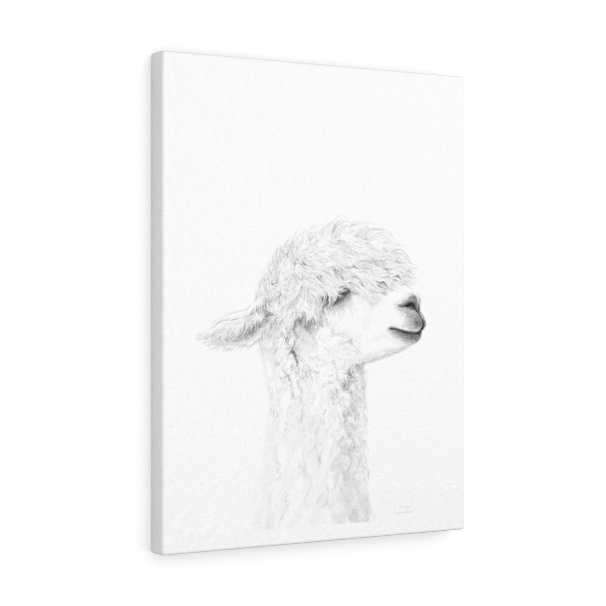 DANICA Llama - Art Canvas