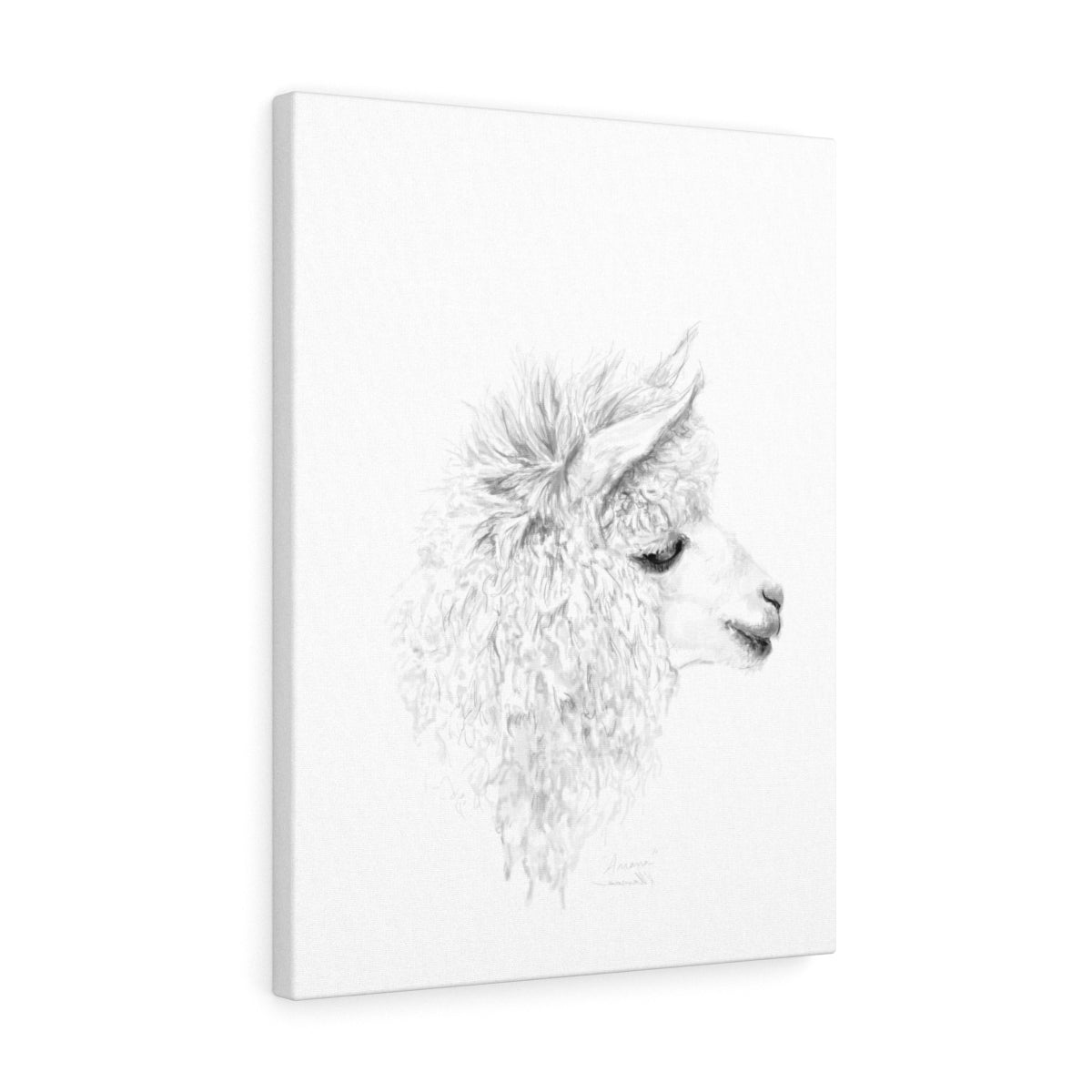 ARIANA Llama - Art Canvas