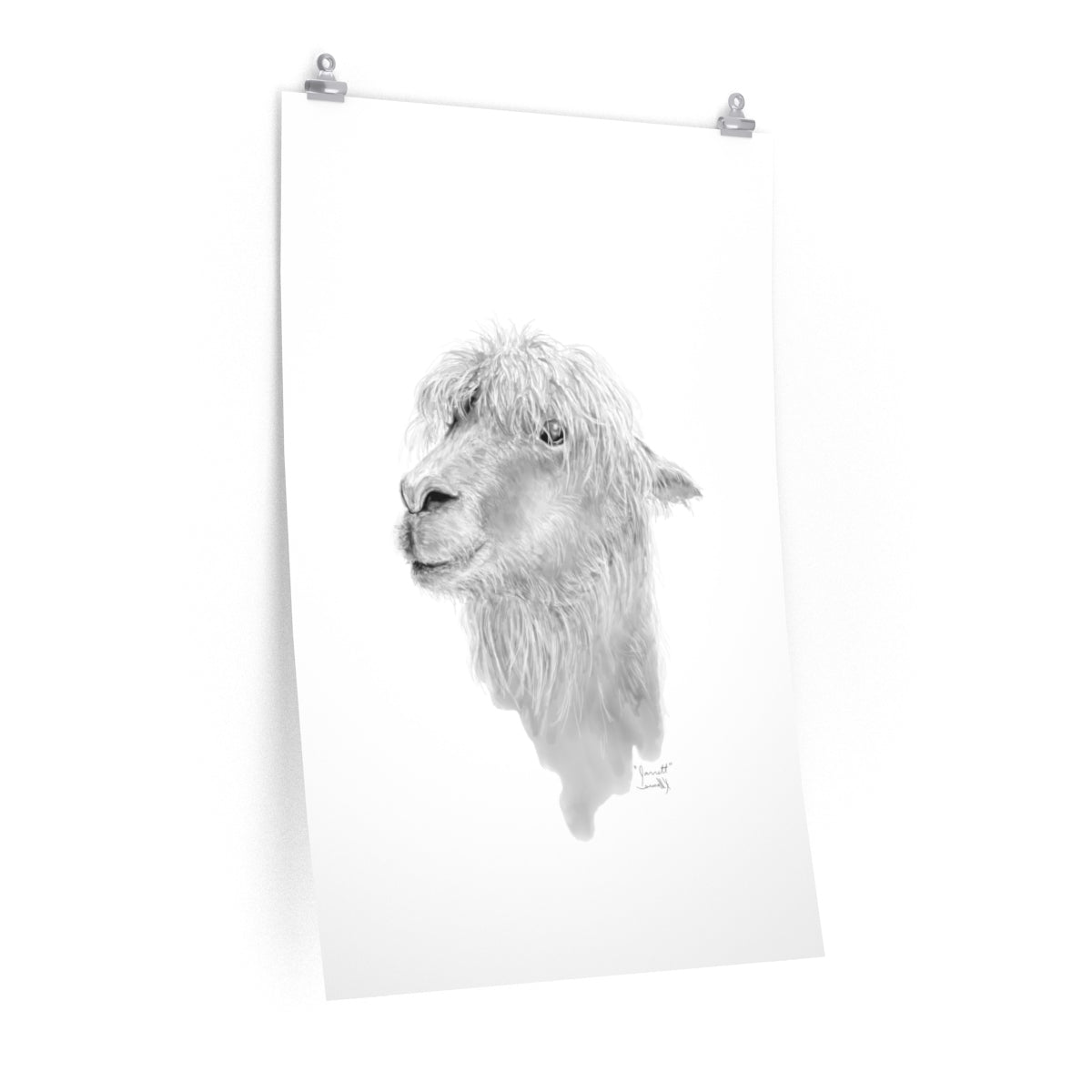 JARRETT Llama- Art Paper Print