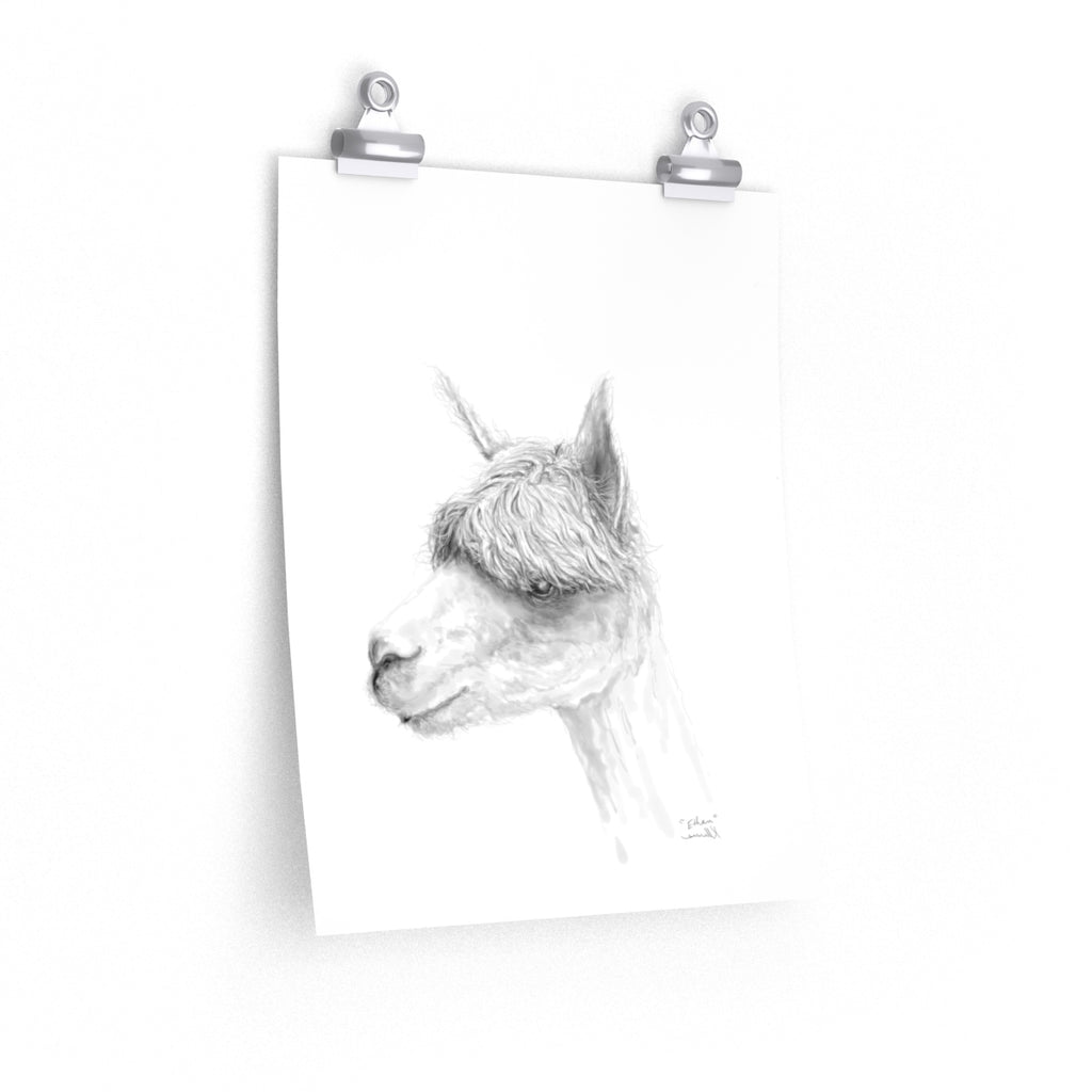 ETHAN Llama- Art Paper Print