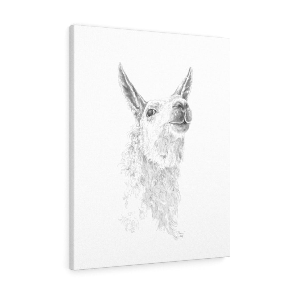 LARRY Llama - Art Canvas