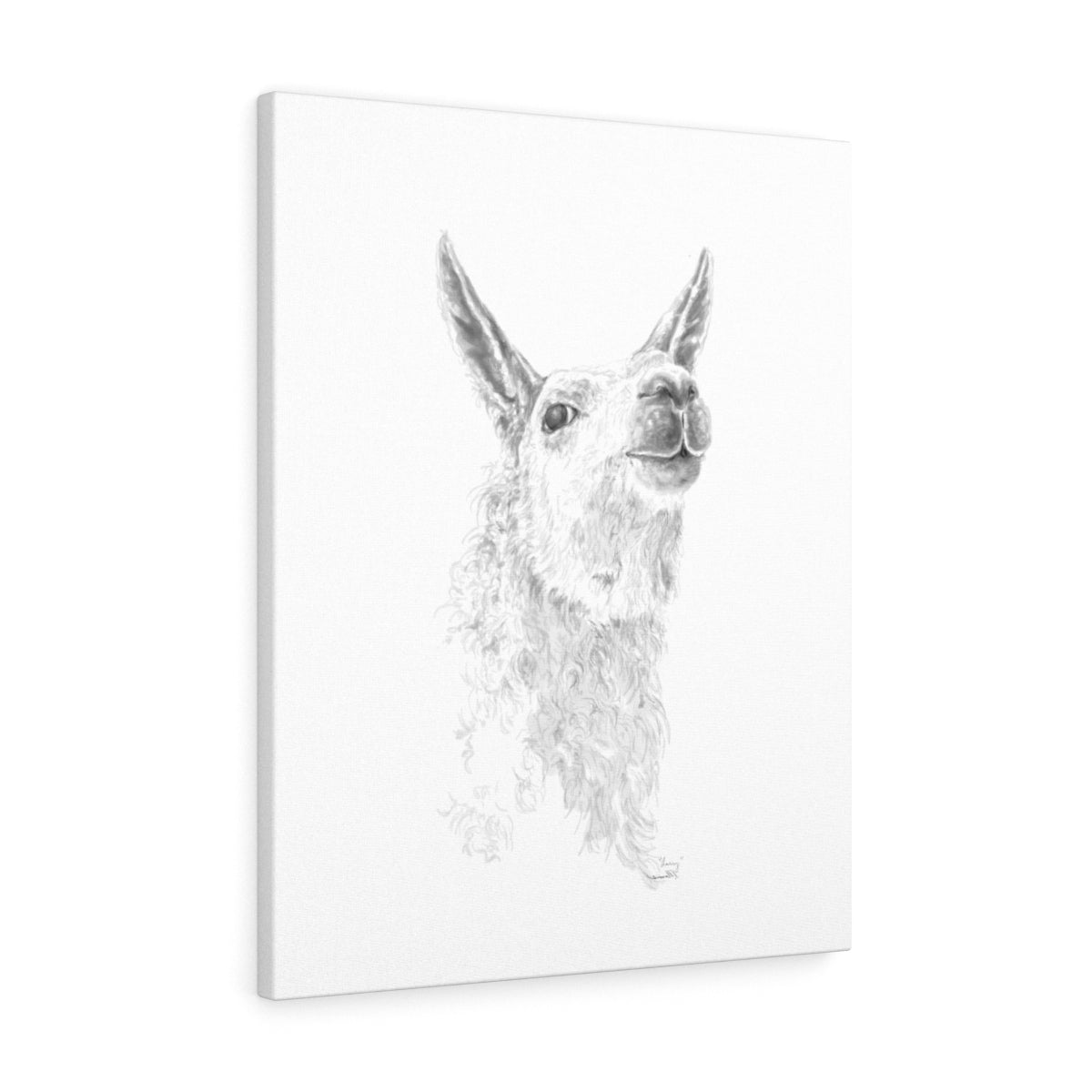 LARRY Llama - Art Canvas