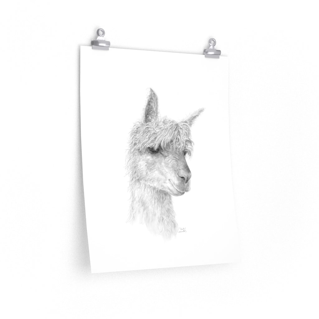 AUSTIN Llama- Art Paper Print