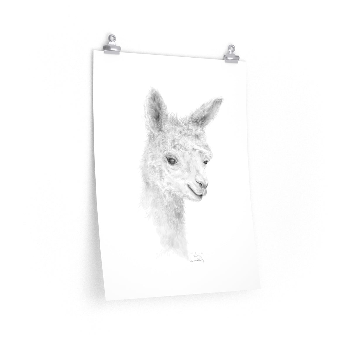 LIVIE Llama- Art Paper Print