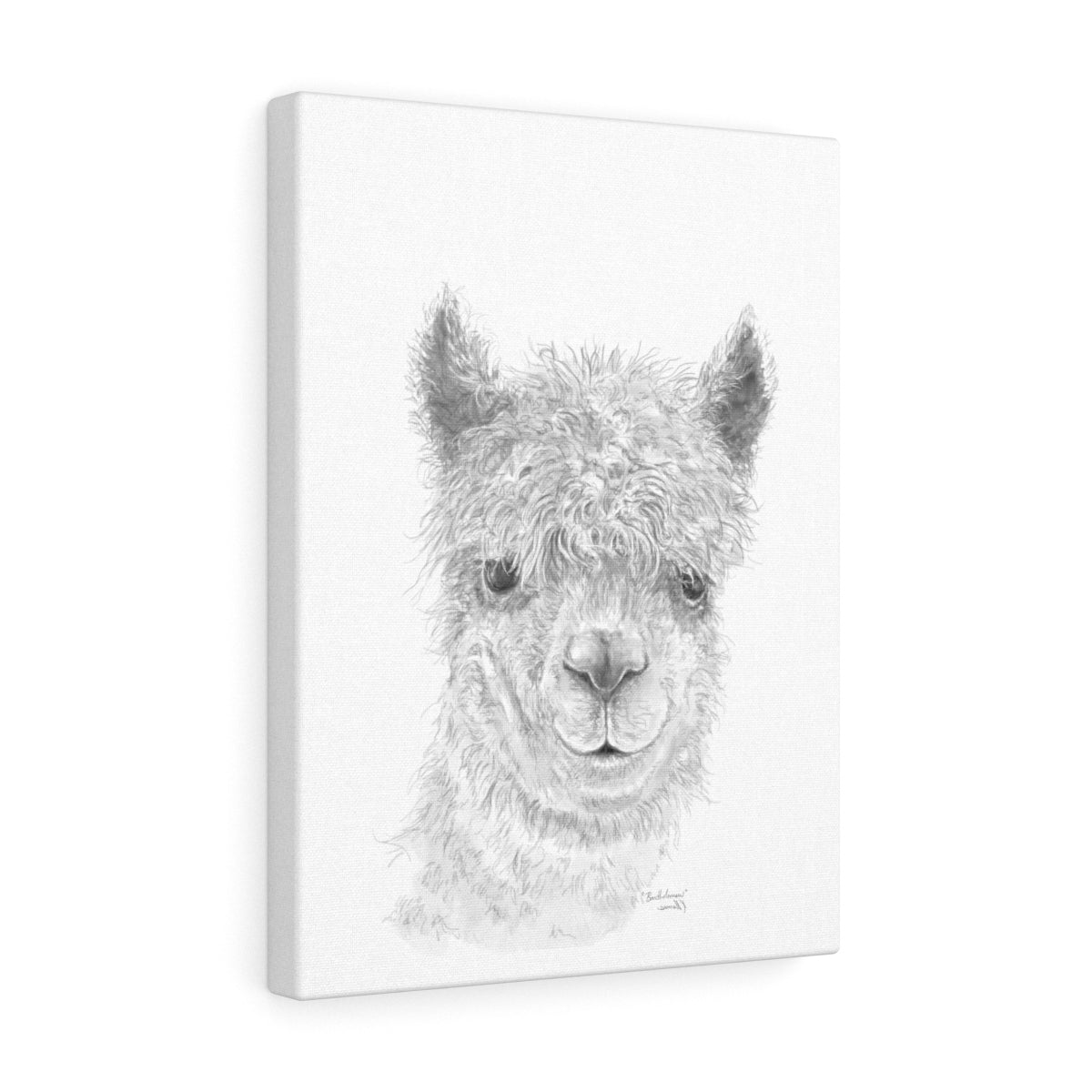 BARTHOLOMEW Llama - Art Canvas