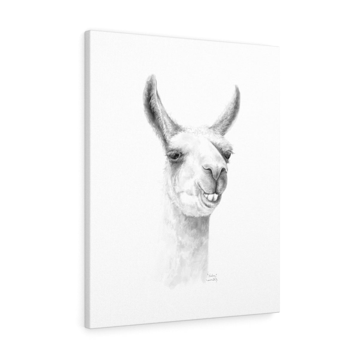 HUDSON Llama - Art Canvas