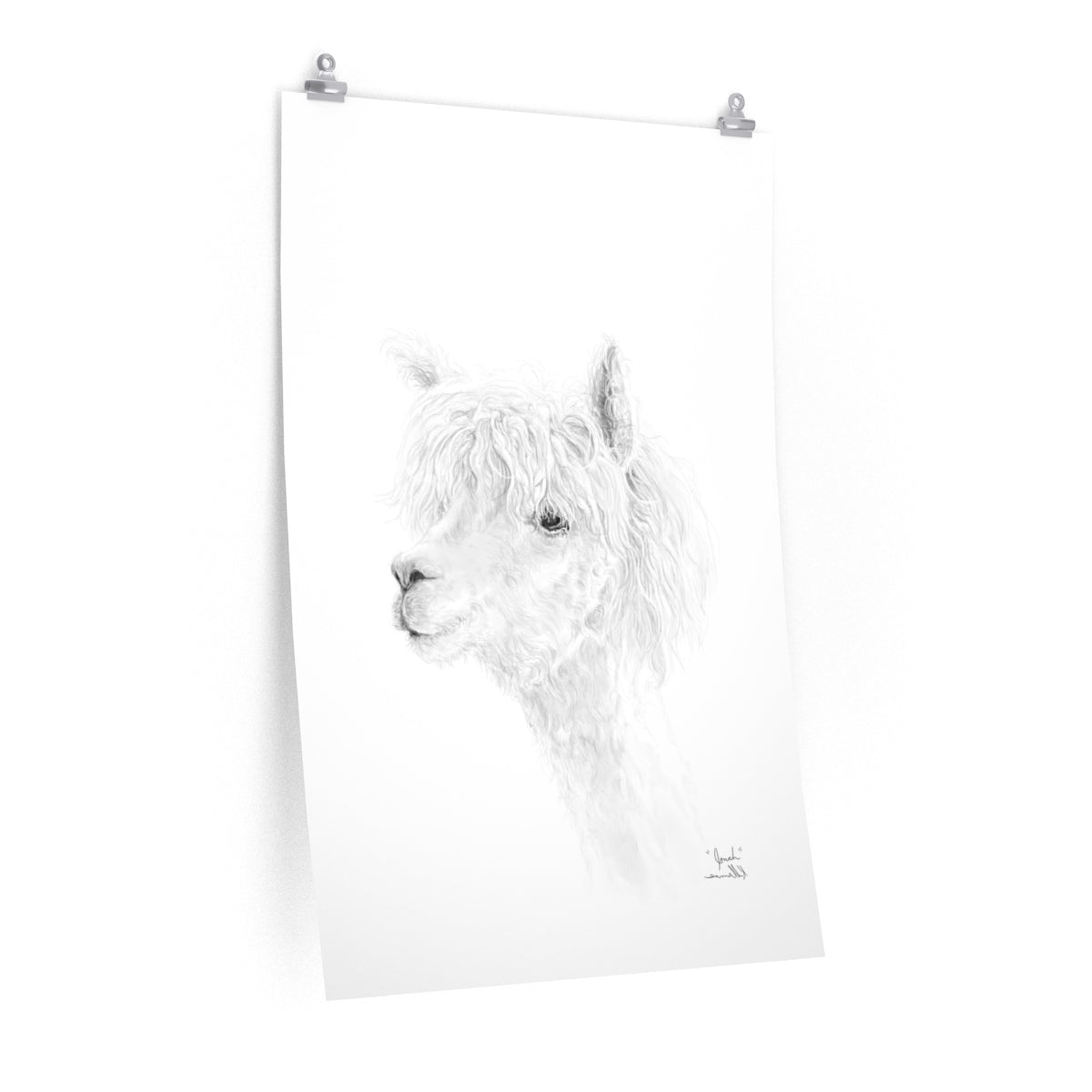 JONAH Llama- Art Paper Print
