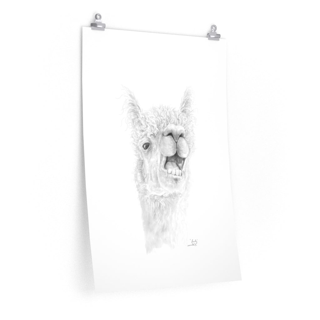 LANTY Llama- Art Paper Print