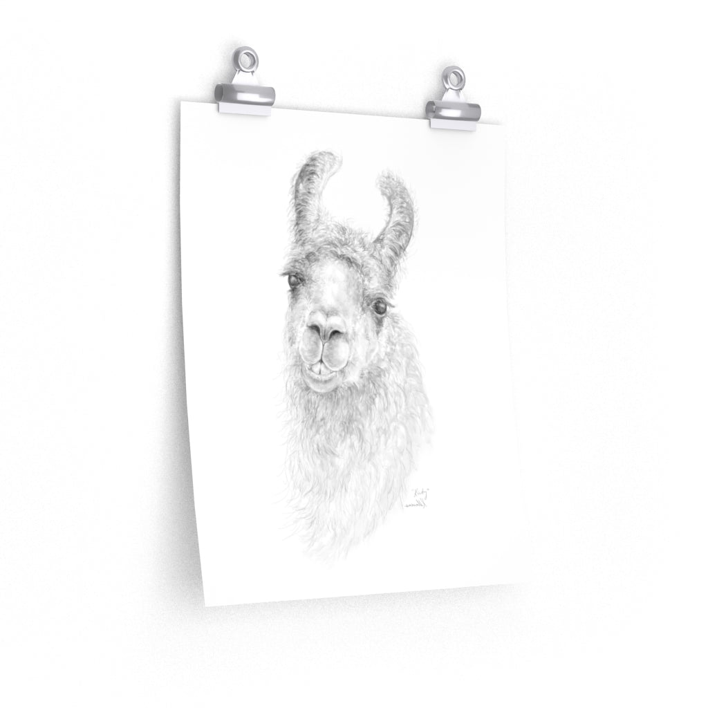 KIRBY Llama- Art Paper Print