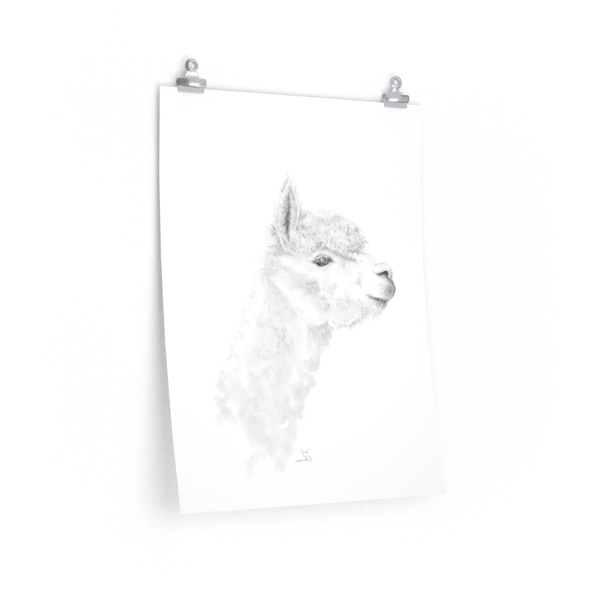 JOSH Llama- Art Paper Print