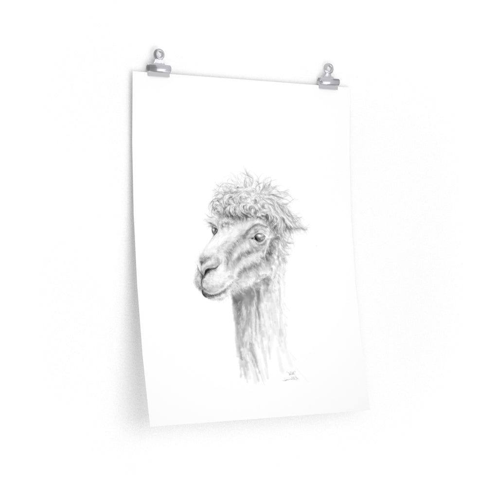 WILL Llama- Art Paper Print