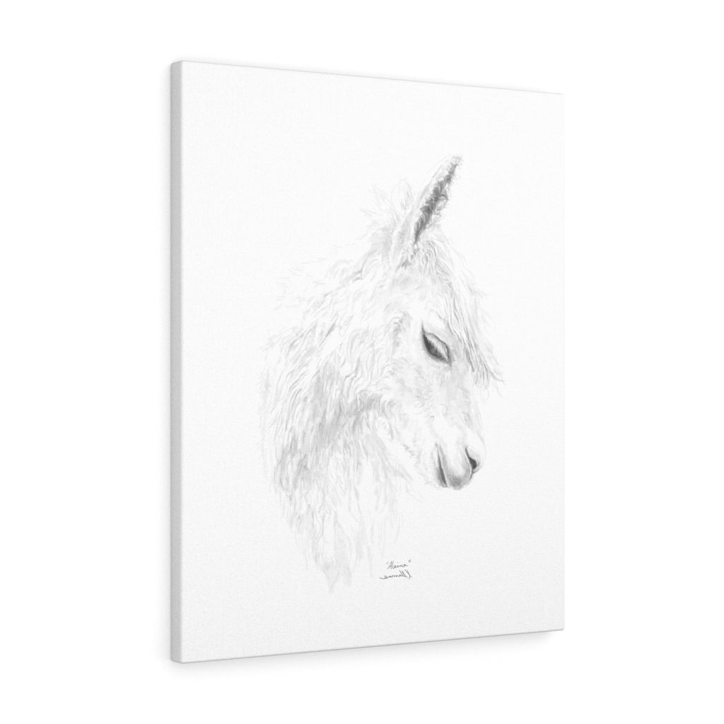 ALAINA Llama - Art Canvas