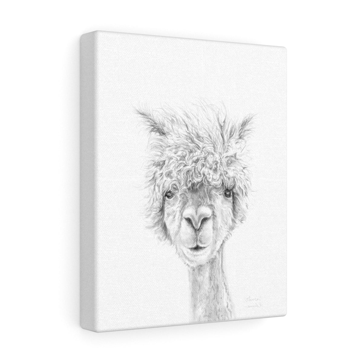 OLIVIA Llama - Art Canvas