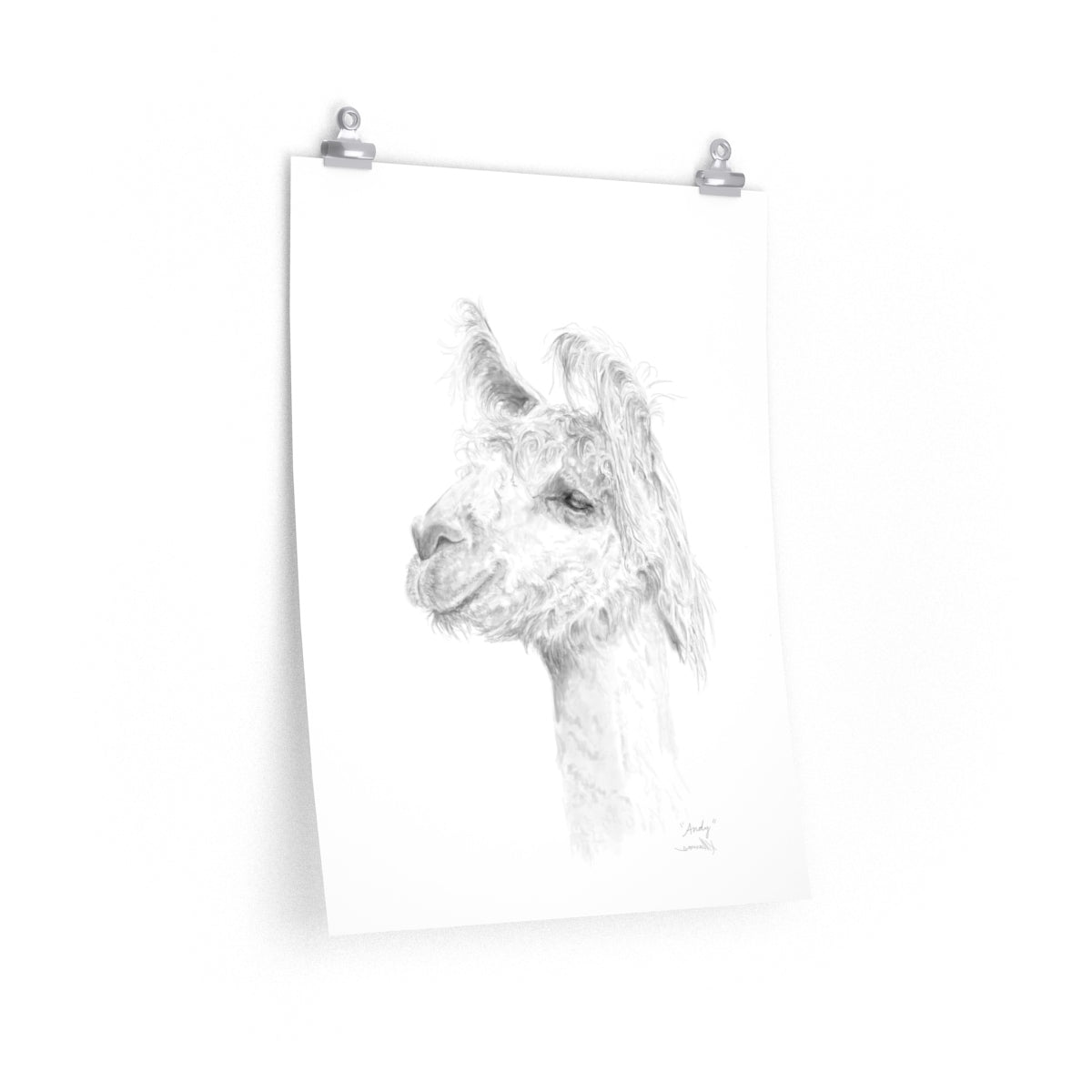 ANDY Llama- Art Paper Print