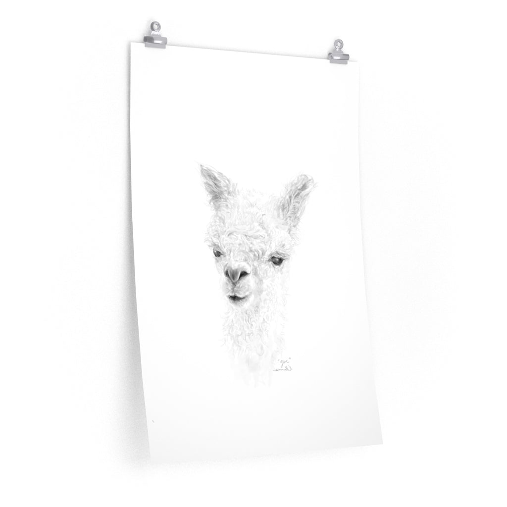 ZOE Llama- Art Paper Print