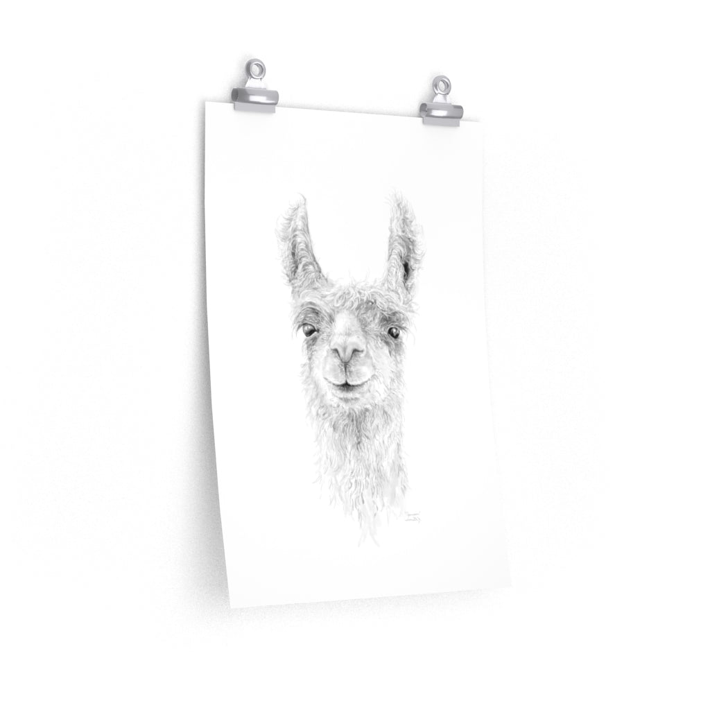 JAMESON Llama- Art Paper Print