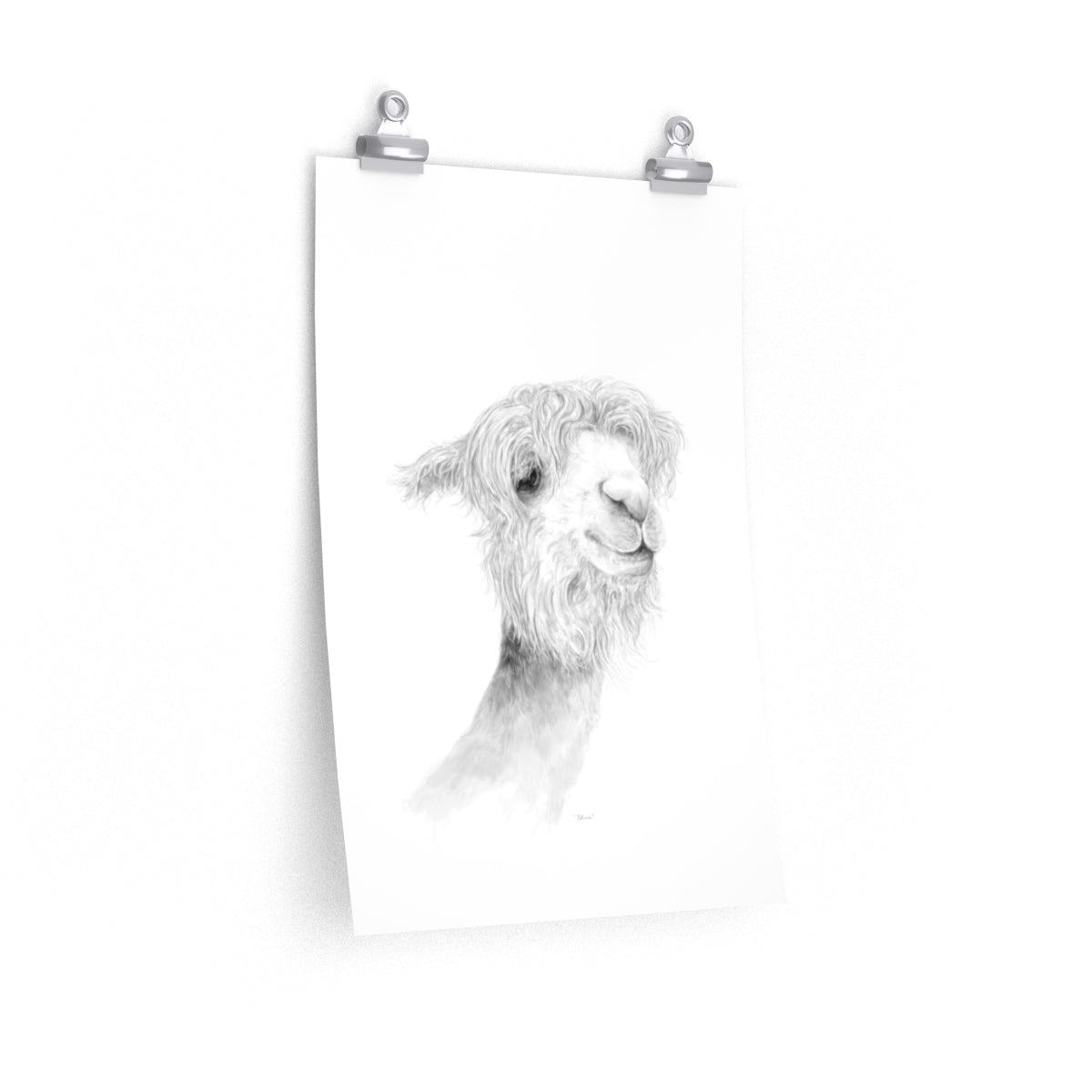 PATRICIA Llama- Art Paper Print