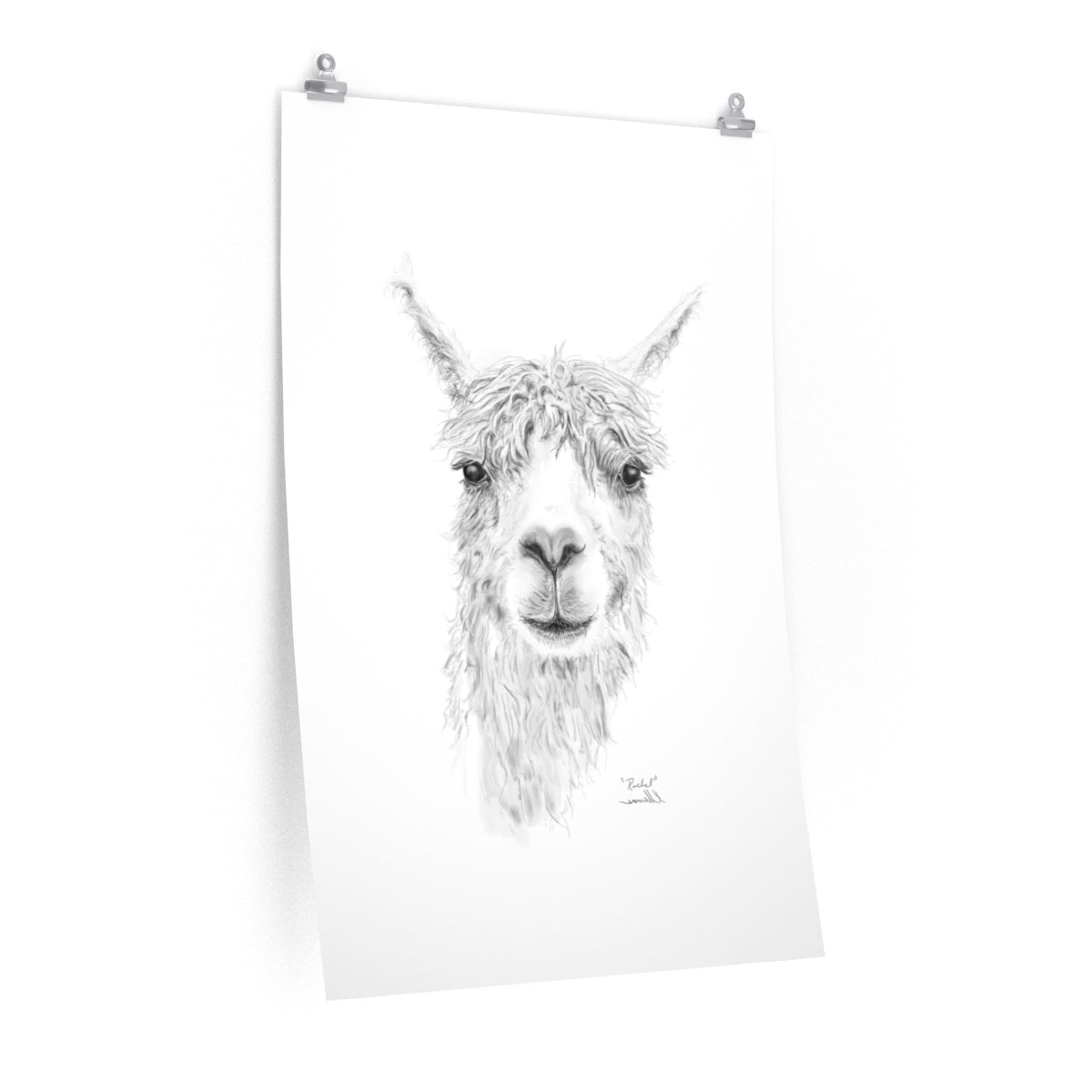 RACHEL Llama- Art Paper Print
